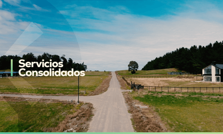 Servicios Consolidados